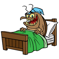 BEDBUGS CONTROL FOR 1 BHK